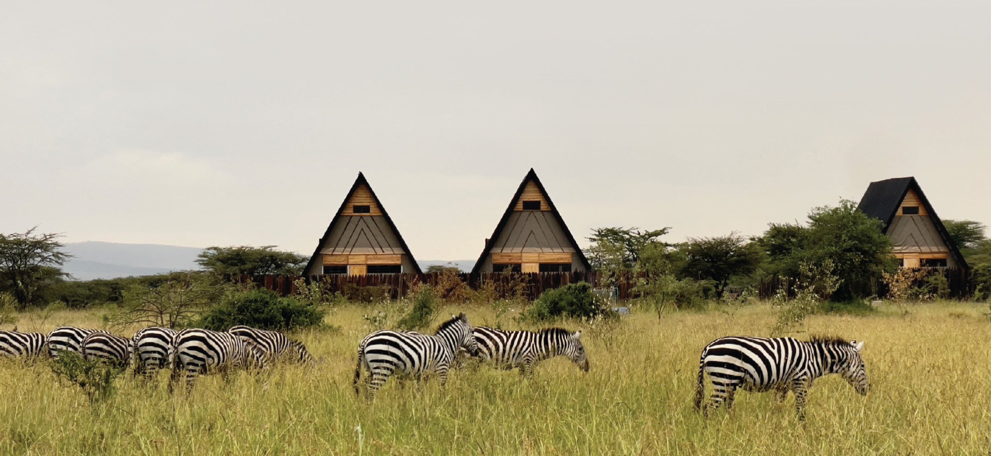 Osero Sopia River Camp